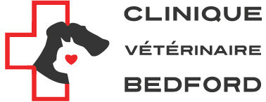 Clinique vétérinaire Bedford: Votre vétérinaire �&nbsp; Bedford, Québec